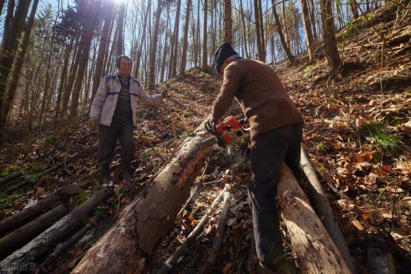 1975年，河南一父子挖出國寶青銅鏡，竟成了仇人