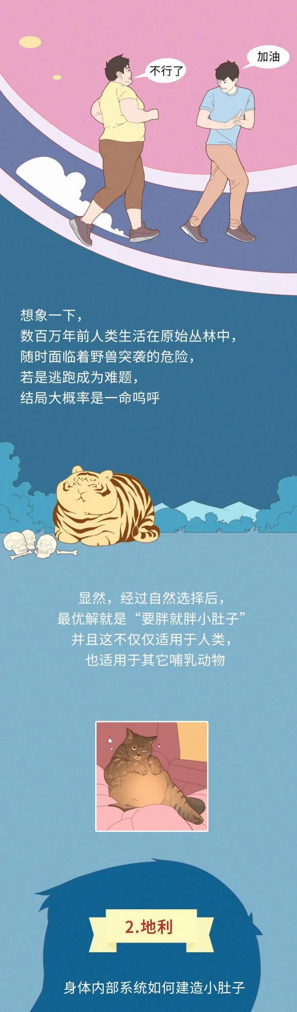 為什麼你明明不胖，卻有小肚子？