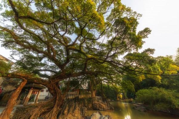 這個冬天，你應該來一趟廣西