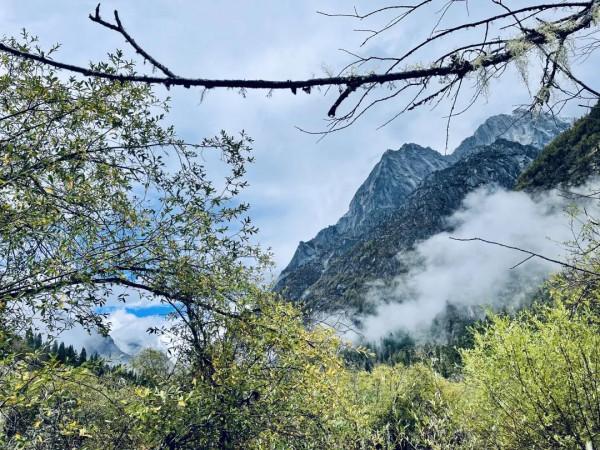 走,去川西看秋色大片 走,去川西看秋色大片