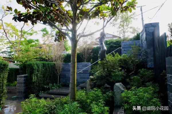 庭院如此高冷，cool