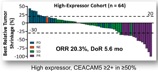 ADC聯合療法有望成為肺癌患者治療的新選擇 ADC聯合療法有望成為肺癌患者治療的新選擇