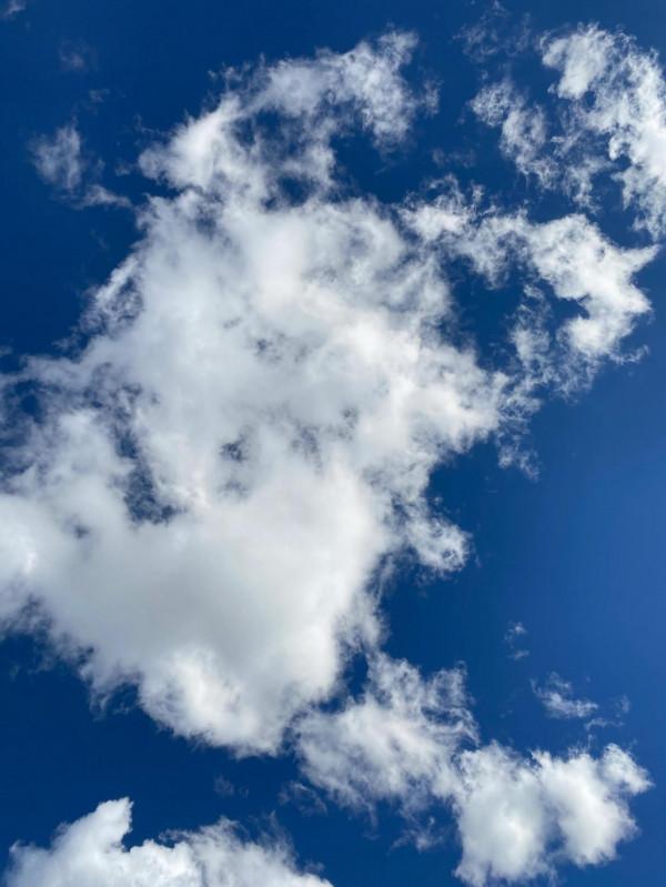 道德經全解--第四十三解