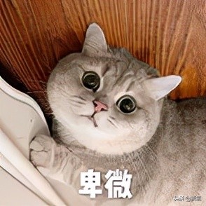 世界各國王室中，為什麼只有英國王室越來越醜？