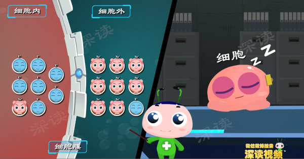 胳膊腿為啥沒力?躺著不動也心亂跳?動漫揭秘高鉀血癥致死全過程 胳膊腿為啥沒力?躺著不動也心亂跳?動漫揭秘高鉀血癥致死全過程