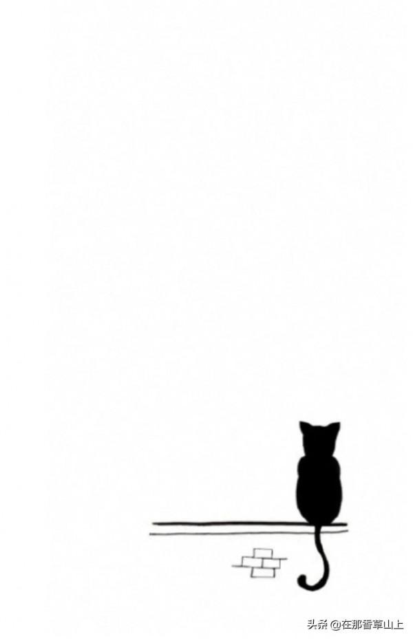 那隻叫元寶的貓 那隻叫元寶的貓