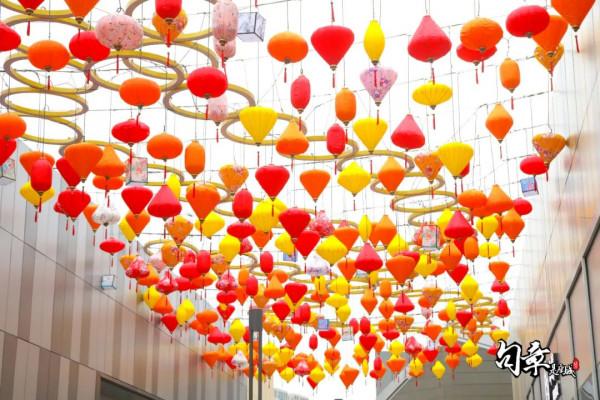 虎虎生威、龍騰虎躍,快來江北打卡萌虎 虎虎生威、龍騰虎躍,快來江北打卡萌虎