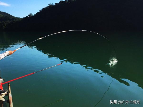 水庫守釣20天，漁獲500斤！帶走時被人指著鼻子：不要太貪心