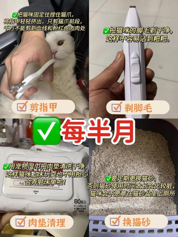 養貓的注意啦！冬天貓咪的這件事最需要警惕