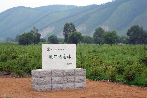 碳中和涉及到哪些領域，投資怎麼佈局？