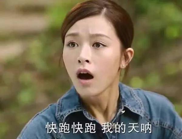 近兩年的5部經典劇，每部都是高口碑之作，《掃黑風暴》評分最低