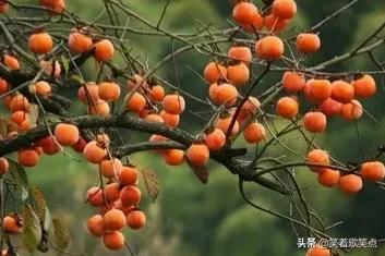 小小說丨多多少少也是愛心 小小說丨多多少少也是愛心