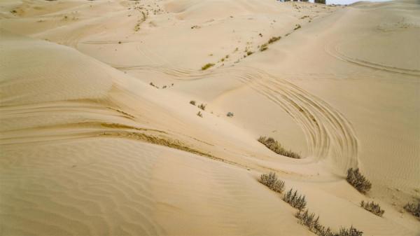 開日產皮卡玩沙漠,真是太開心了 開日產皮卡玩沙漠,真是太開心了