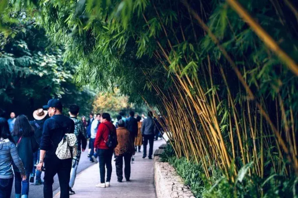 旅行，遇見更好的自己！2022年的第一場旅行，你會去哪裡？