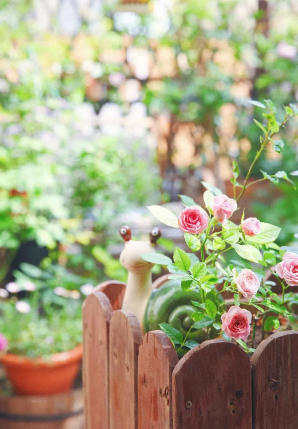 她改造的54㎡露臺花園，一個可在花叢中漫步的秘境，美不勝收