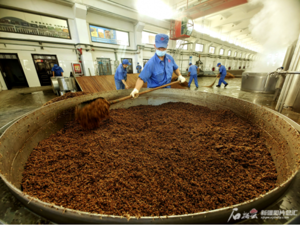 伊力特走上“二次創業”路 釀出“科技”美酒 伊力特走上“二次創業”路 釀出“科技”美酒