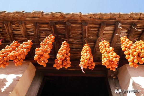 農民大爺把“柿子開花”變美味，10元1斤成搶手貨，如手提錢串串