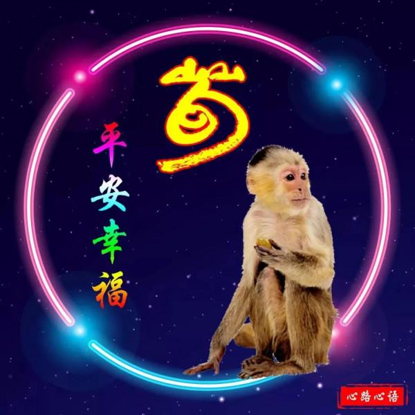 這樣的荀姓生肖頭像,是你喜歡的嗎? 這樣的荀姓生肖頭像,是你喜歡的嗎?