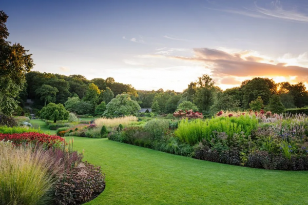 花園鑲邊，增加植物層次，豐富花園景觀