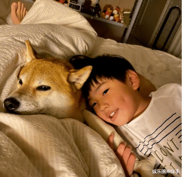 S.H.E裡Ella的兒子長大了,如今4歲越變越帥氣,三人一狗很溫馨 S.H.E裡Ella的兒子長大了,如今4歲越變越帥氣,三人一狗很溫馨