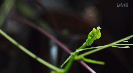 電影成真?再這麼下去,人類被自然災難吞噬就要成為現實 電影成真?再這麼下去,人類被自然災難吞噬就要成為現實