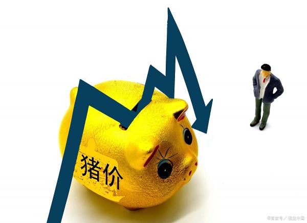 生豬價格低迷，其實大家可以這樣玩