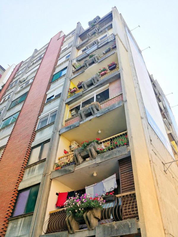 塞爾維亞和波黑之旅