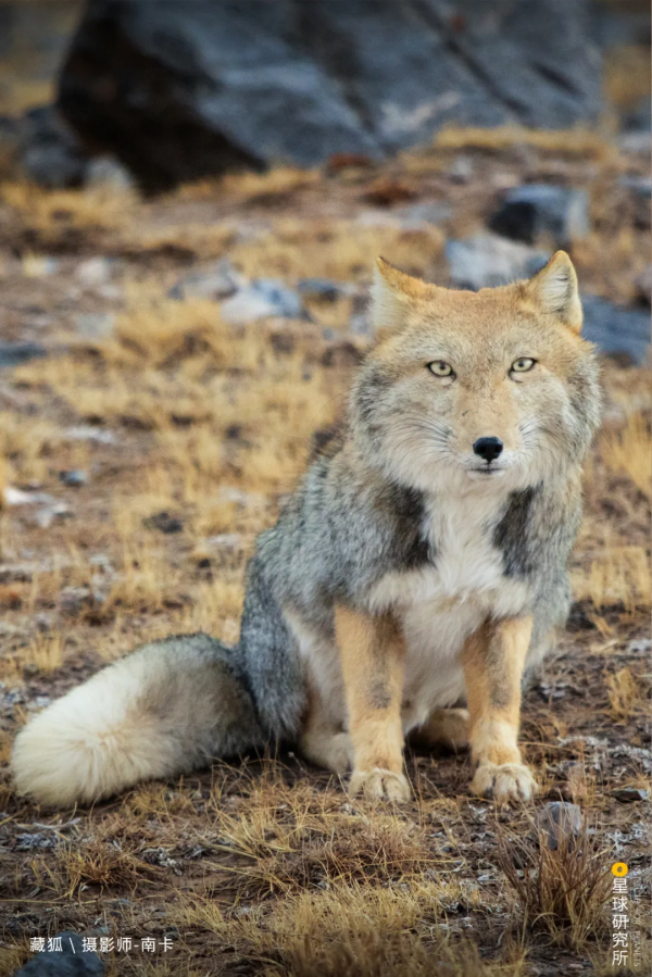 出發!穿越中國最長國道219 出發!穿越中國最長國道219