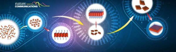 麻省理工研發出革命性材料，比鋼硬比塑膠還輕，由華人科學家造出