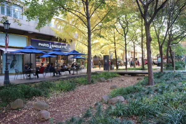 黃金城道上有家“昆蟲酒店”，“蝴蝶”在前臺迎賓……