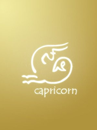 古典占星邏輯下另類星座運程研究（2021年12月23日-12月24日）