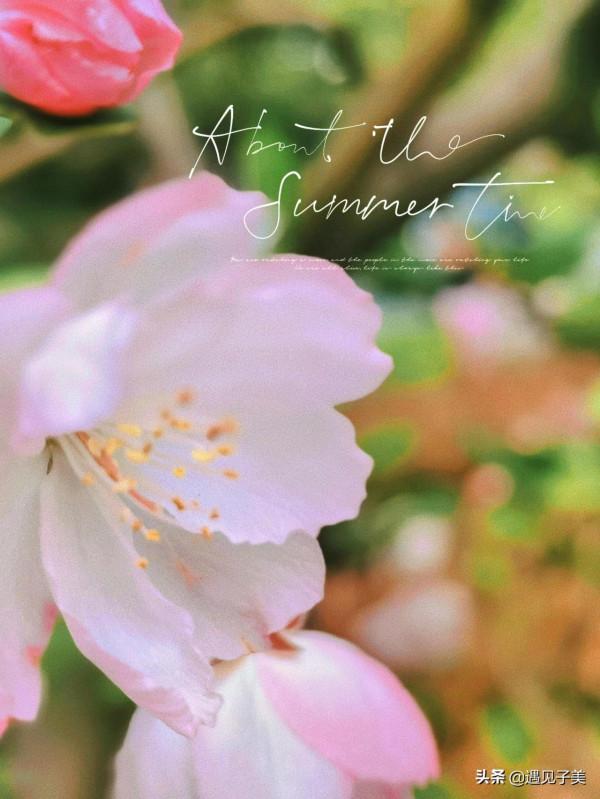 散文：歲暮回望，時光如梭，留待一場白雪