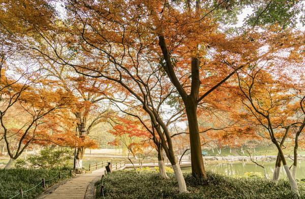 杭州最適合“窮遊”的10個景區，好玩還免費，趕緊收藏起來吧