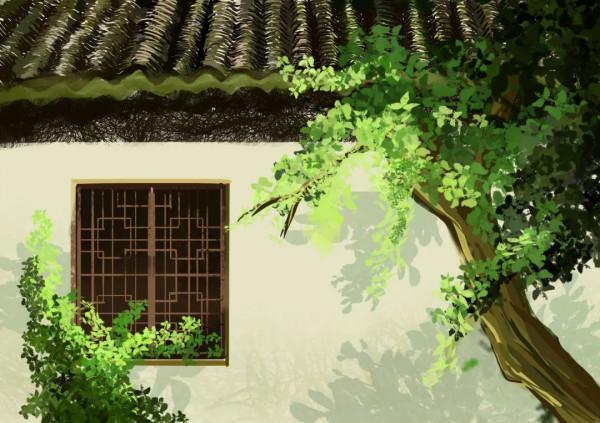 歸有光後妻：我真想砍掉那棵枇杷樹