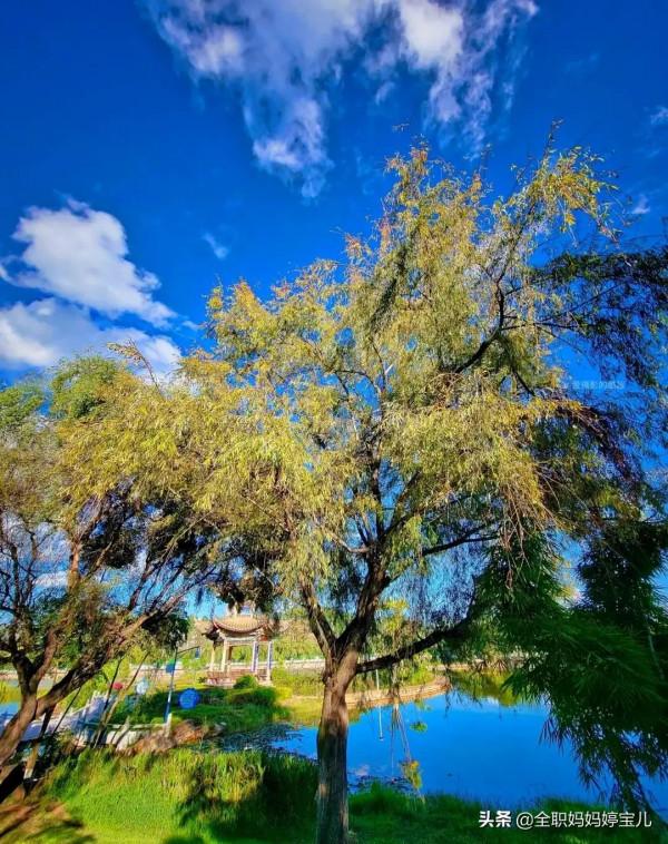 分享——雲南的“秋”