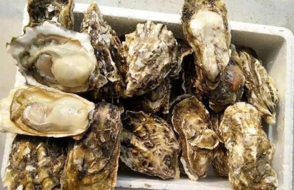 我的船上生活之005——船上記事