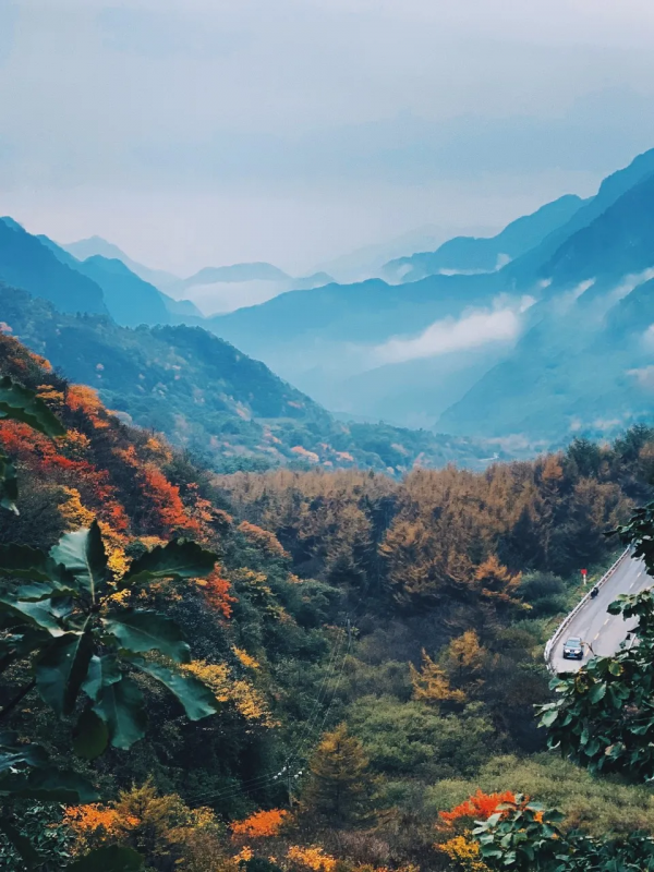 中國最美的6條鐵路，一路上的美景，讓人捨不得眨眼，此生必去