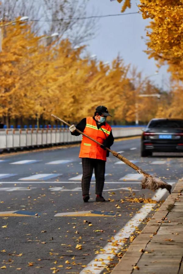 秦皇島北戴河秋天的美景