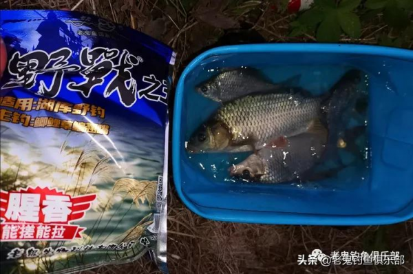 野戰之王擒獲鯉鯽，成雙成對