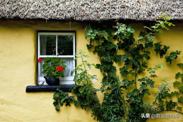 我這心哪，憋的哪是一個難受了得？