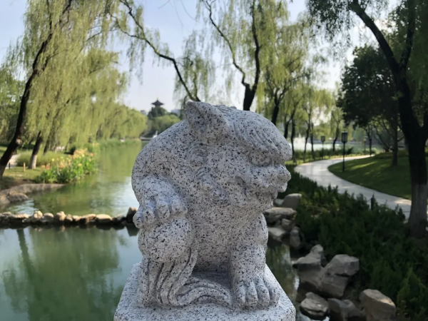 唐皇宮裡的“大喵”，大有來頭