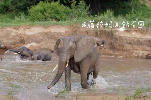 孩子長得慢讓人擔心，可孩子長太快也得注意！每年應該長多少？