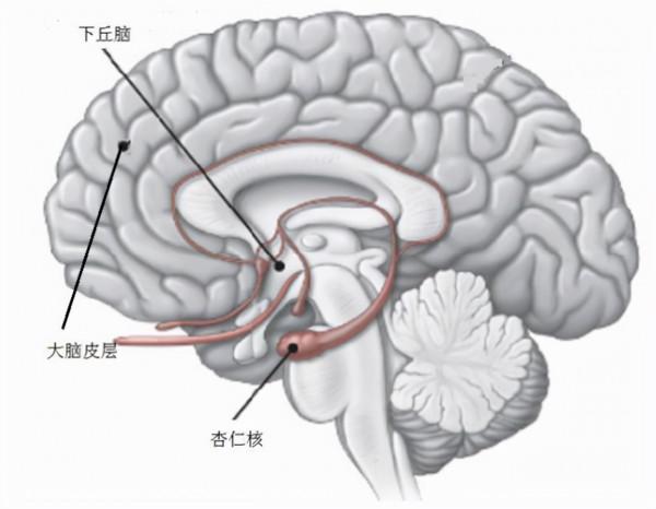 跟人爭吵打架時身體“發抖”,說話不利索,這是病嗎? 跟人爭吵打架時身體“發抖”,說話不利索,這是病嗎?