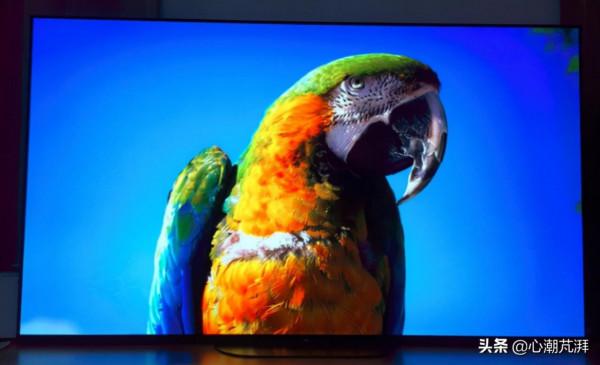 裝修難？家電不會買？這篇九千字作業搞定全屋家電給你抄