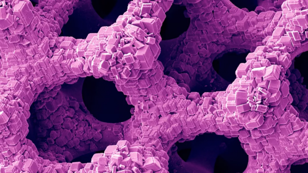 Science：華人團隊揭秘&OpenCurlyDoubleQuote;派大星&rdquo;骨骼，高強度新型材料正在路上
