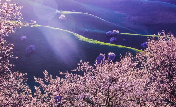 這些景點太治癒了，看完心情好了10000倍