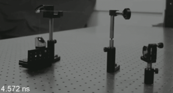 33張罕見的照片,白鸛把孩子從高空扔出巢穴,滑鼠手機你見過嗎? 33張罕見的照片,白鸛把孩子從高空扔出巢穴,滑鼠手機你見過嗎?