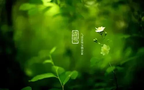 二十四節氣：中國傳統文化，上古農耕文明的產物，你知曉多少？