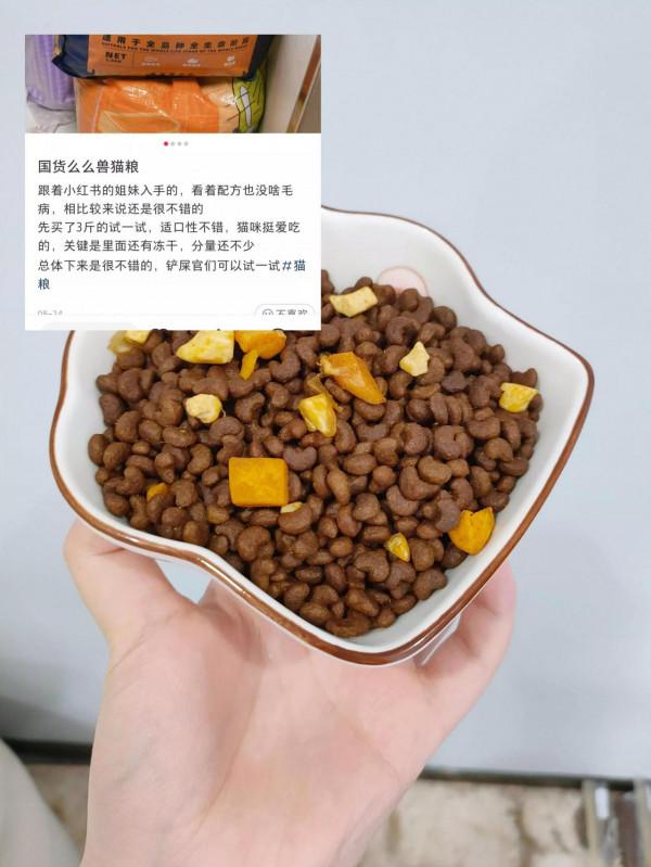 球球了，毒貓糧別再給主子選了