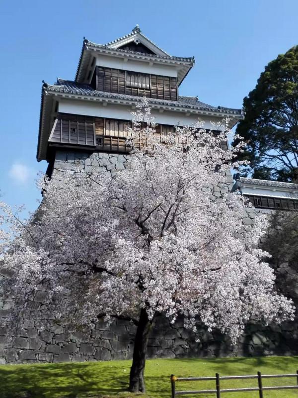 東京自由行之我見